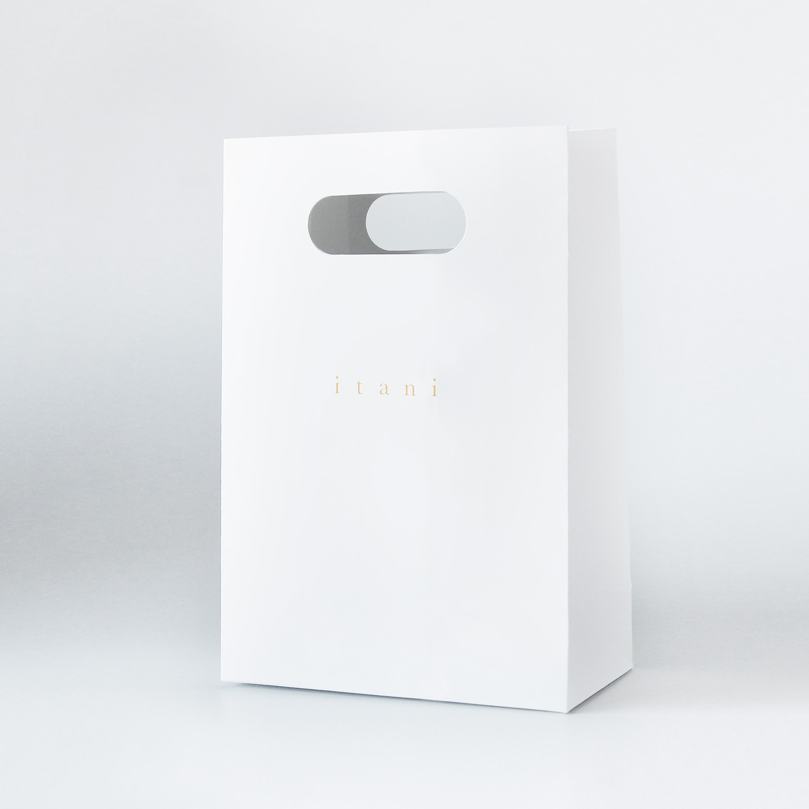 itani_shopping-bag