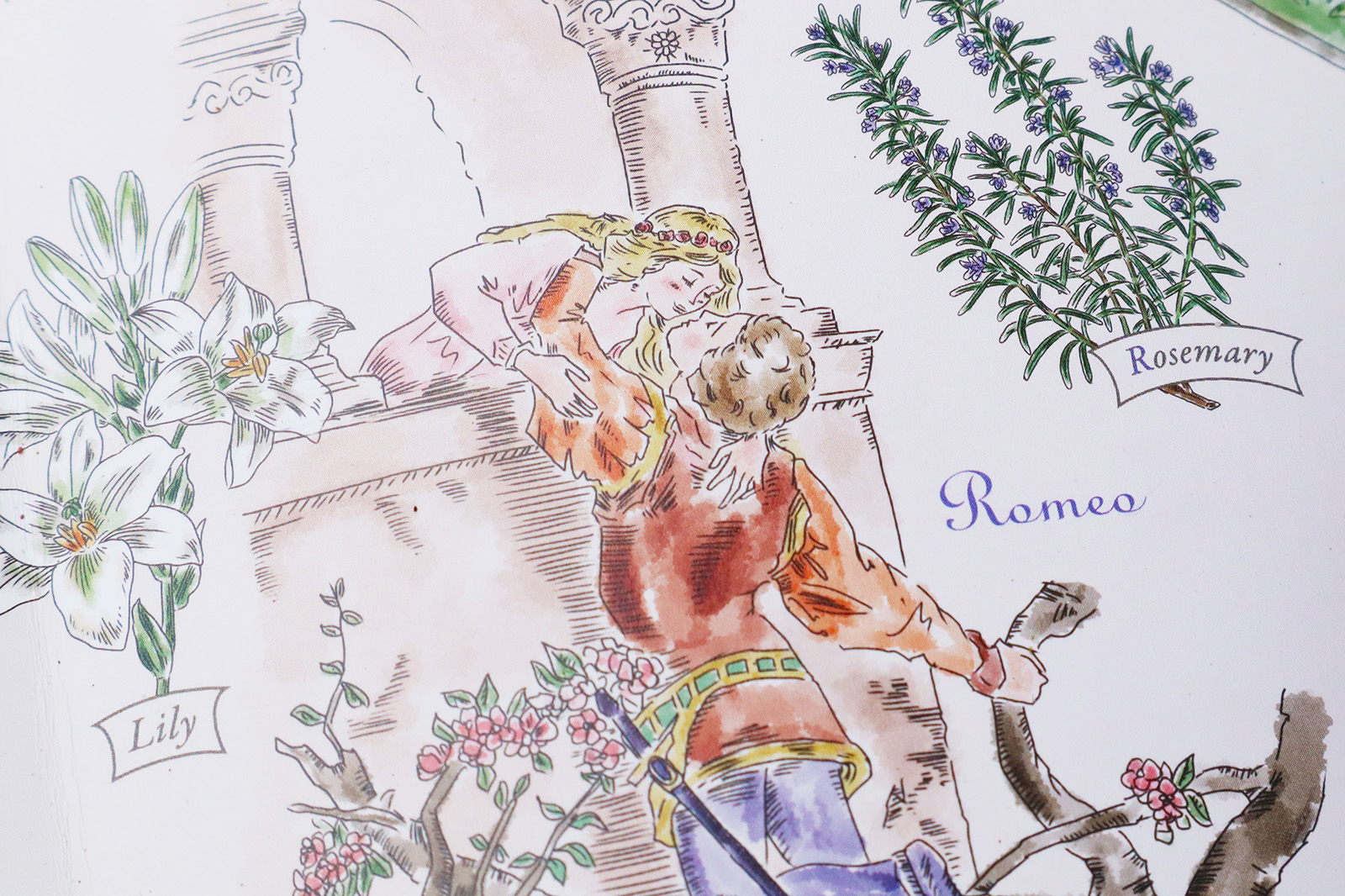 Shakespeare Garden -彩の国 シェイクスピア・ガーデン-_3